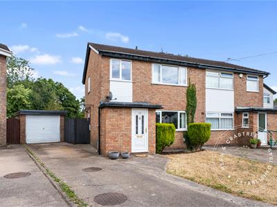 Picture 25